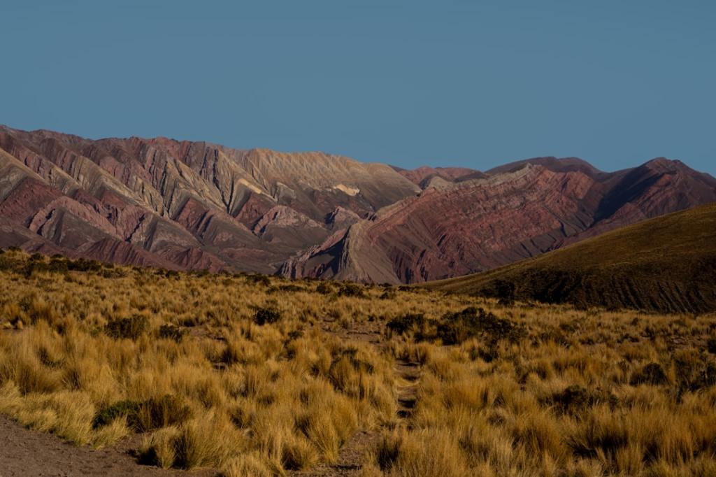 Emergencia agropecuaria en tres provincias por sequías y fenómenos&nbsp;climáticos