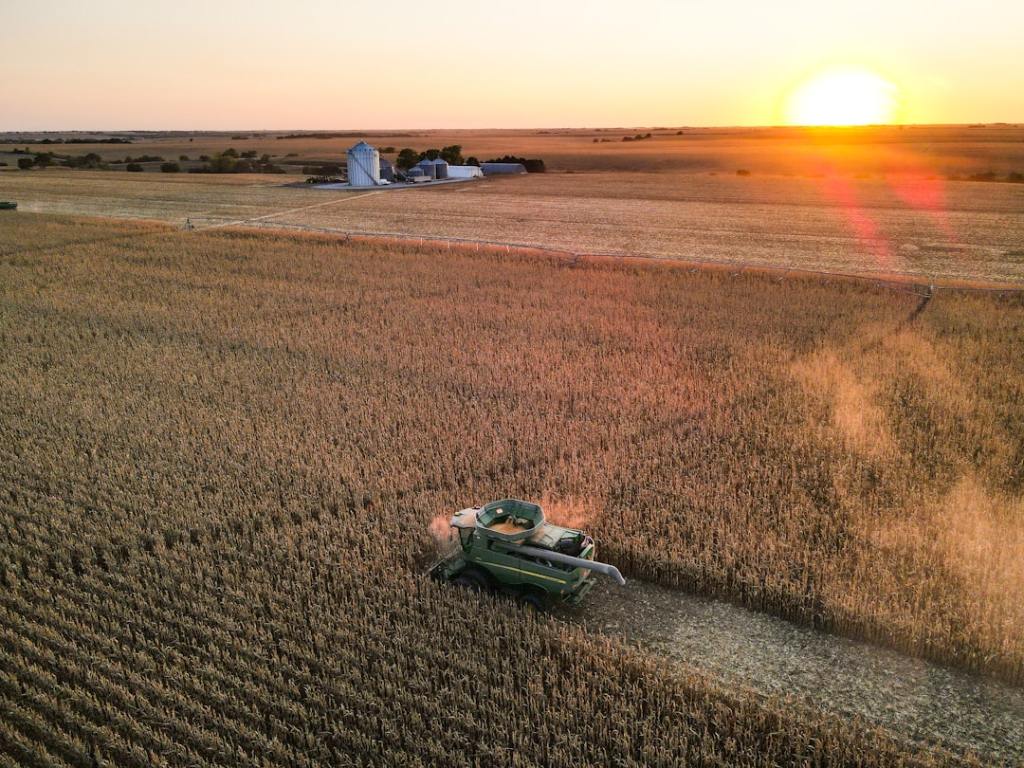 Zeta Semillas apunta a liderar el mercado con nuevos hibridos de&nbsp;girasol