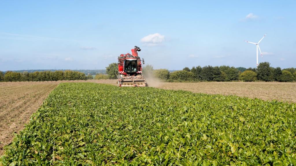 Reducen dosis de agroquímicos sin perder eficacia en aplicaciones&nbsp;agrícolas