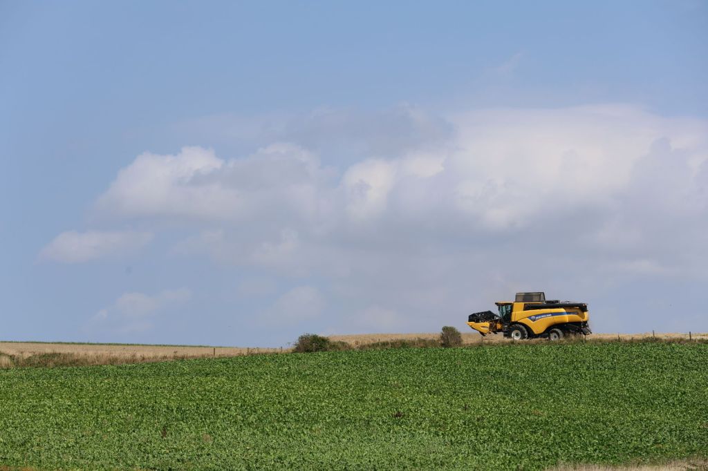 Exportaciones agrarias en alza: crecimiento de 128% abre nuevas oportunidades