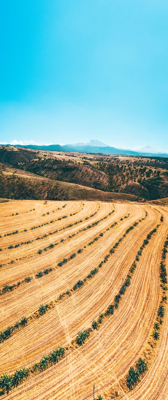 El Niño obliga a repensar el manejo agrícola en el&nbsp;país